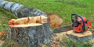 Best Utility Line Clearance  in Ardmore, PA